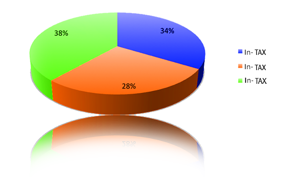 Individual Tax Return